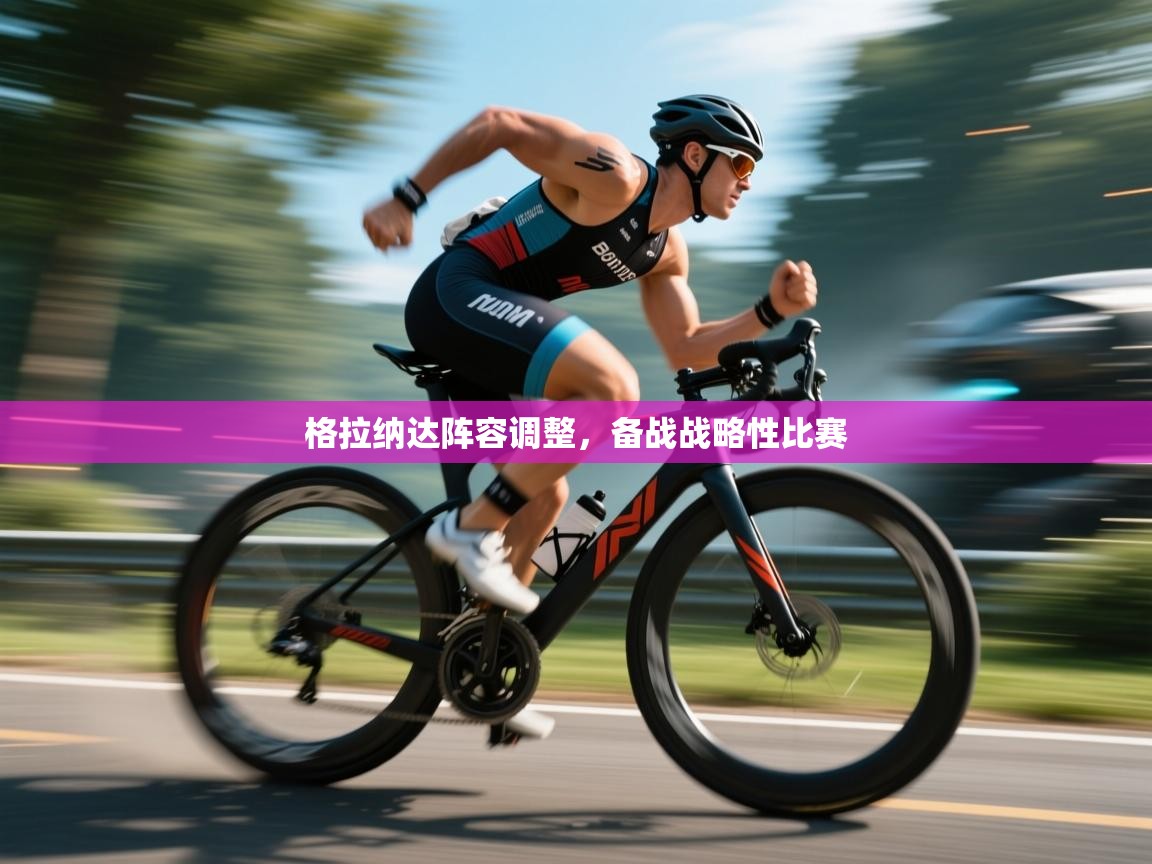 问鼎娱乐app-格拉纳达阵容调整，备战战略性比赛