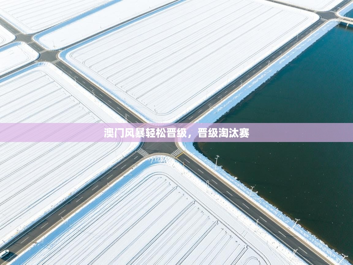 问鼎娱乐平台-澳门风暴轻松晋级，晋级淘汰赛